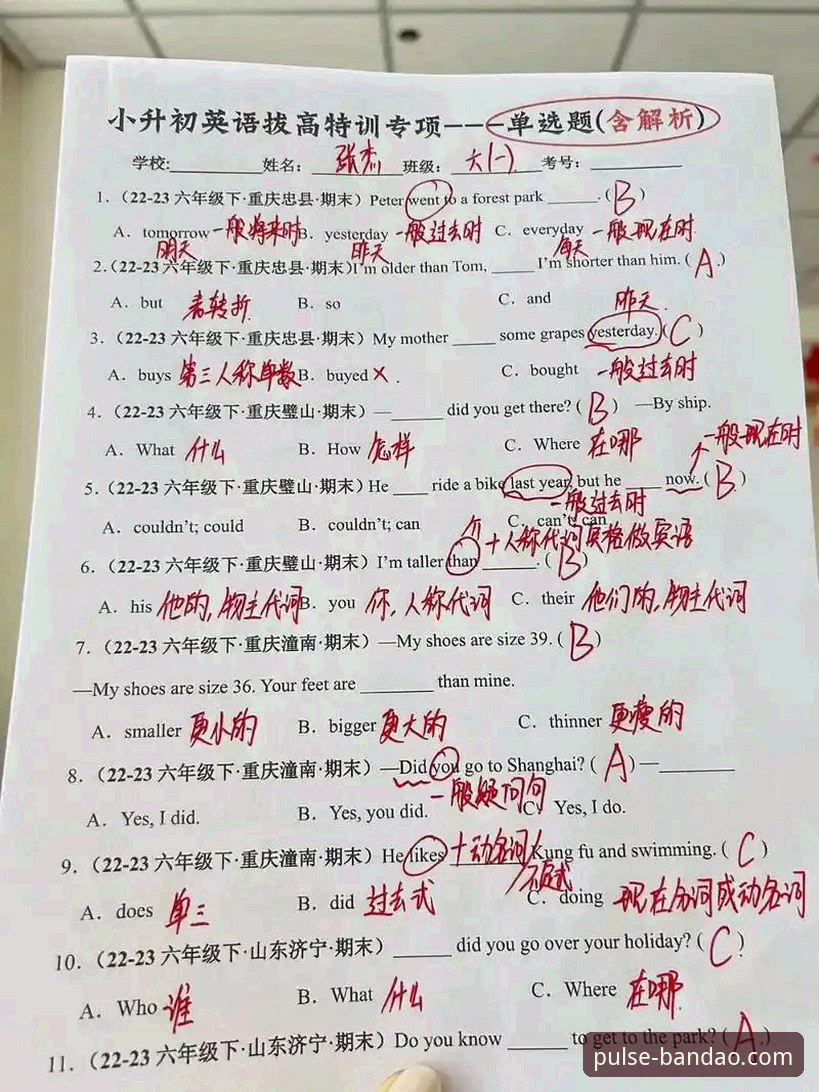 半岛体育平台实用指南：手机版功能对比与使用技巧