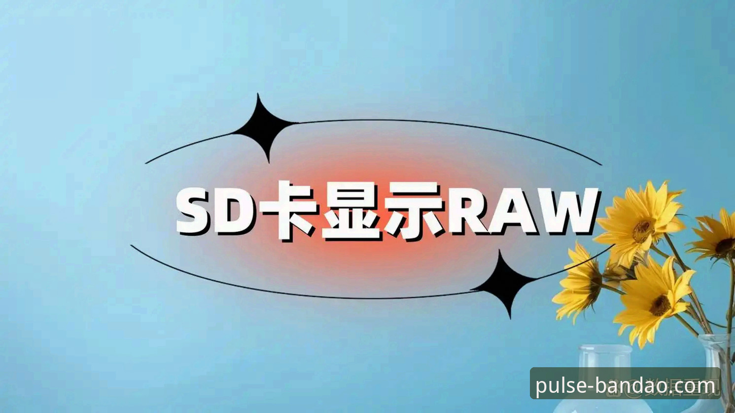 半岛体育安全吗使用指南 半岛体育平台安全使用指南:从版本验证到数据防护的完整攻略