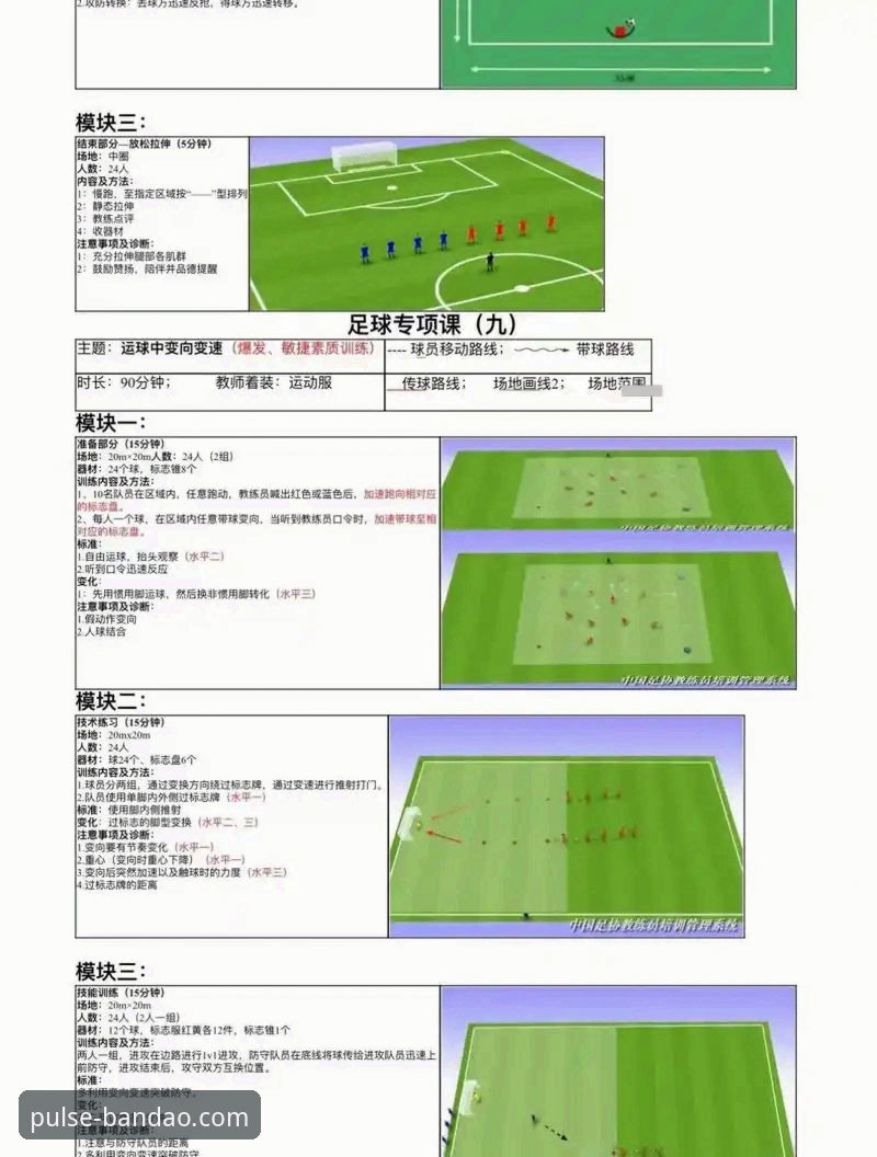 半岛体育平台使用教程详解：从入门到精通的操作指南